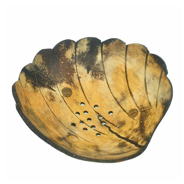 Jabonera de coco en forma concha